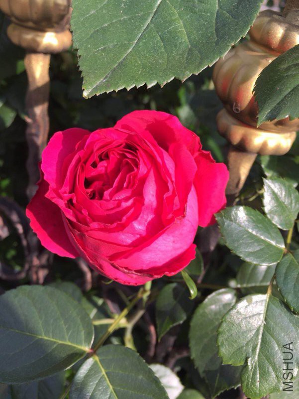 ΢��ͼƬ_20180420092013.jpg