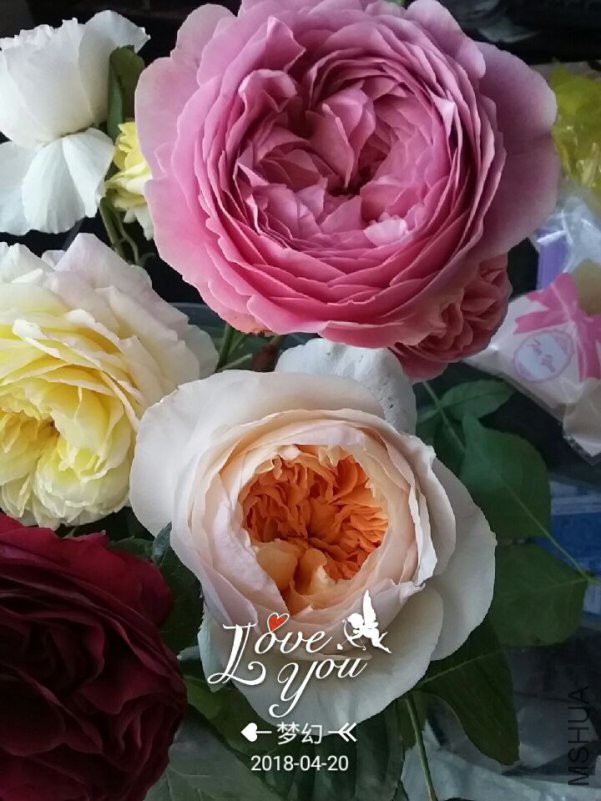 QQͼƬ20180420092248.jpg