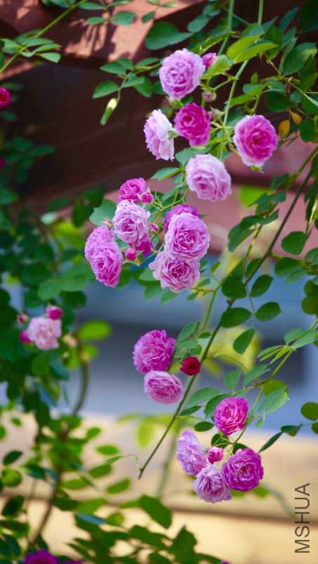 2AE9816F-A3B0-4FE0-8E13-65BA5F6E7E98.jpeg