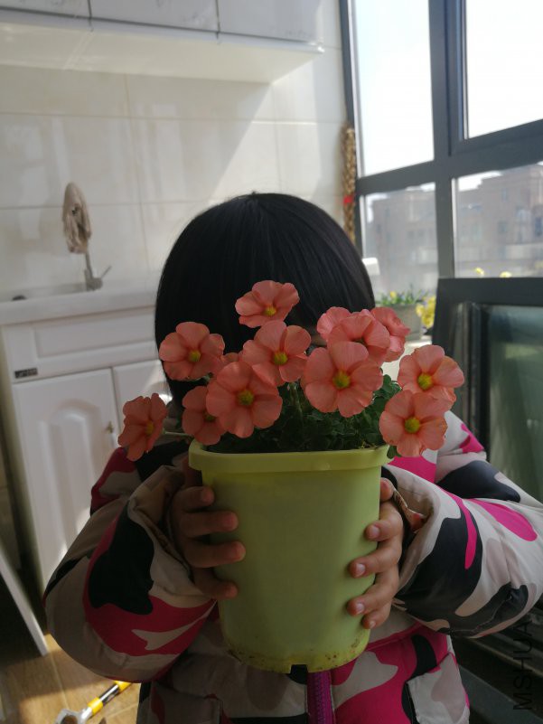 IMG_20180310_122057.jpg