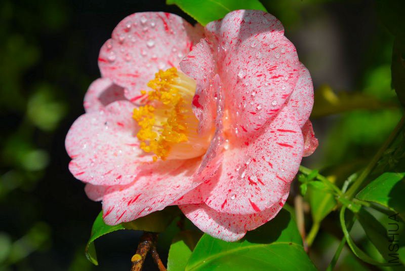 DSC_58710149.JPG