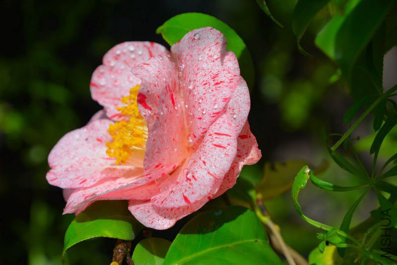 DSC_58810159.JPG