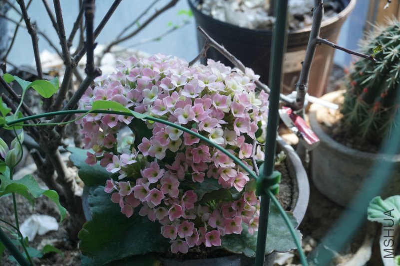 DSC00802_�༭.jpg