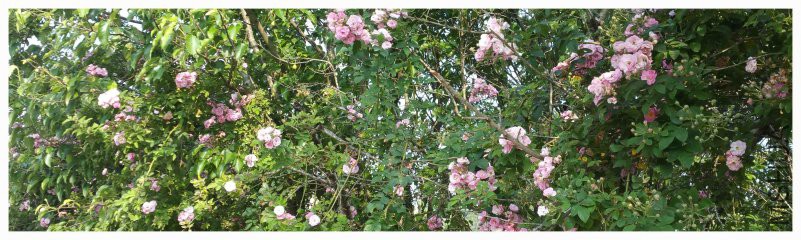 20180420_170903.jpg