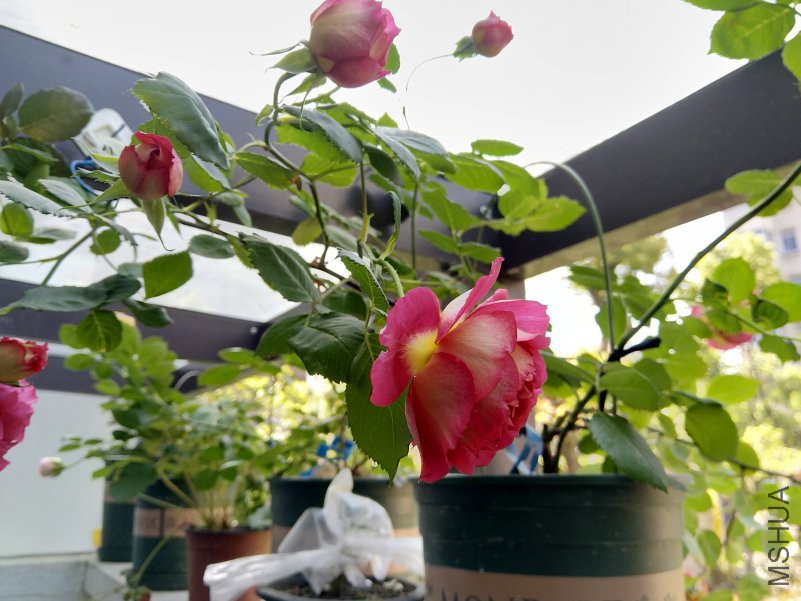 IMG_20180420_093856.jpg