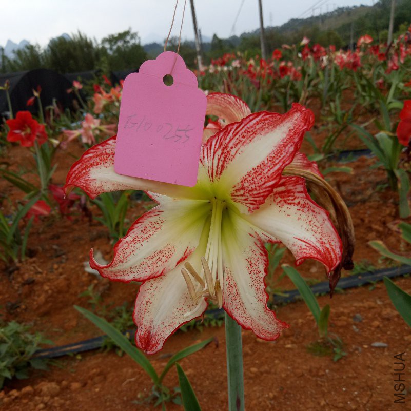 P80421-140214.jpg