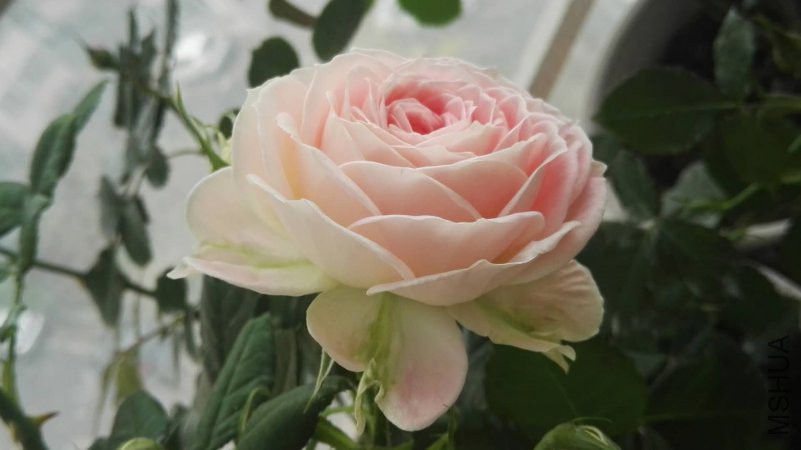 ΢��ͼƬ_20180422110707.jpg