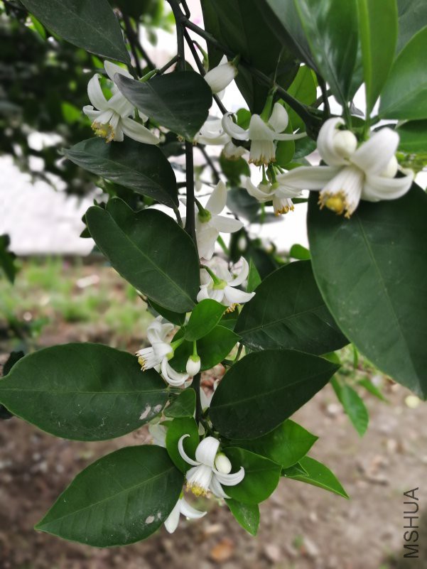 IMG_20180422_105858.jpg