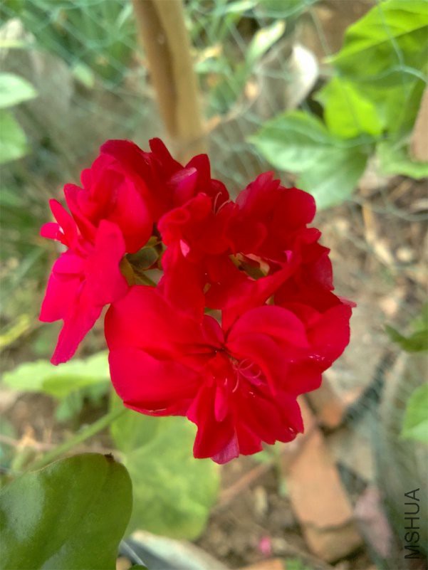 IMG_20180422_135858_AO_HDR.jpg