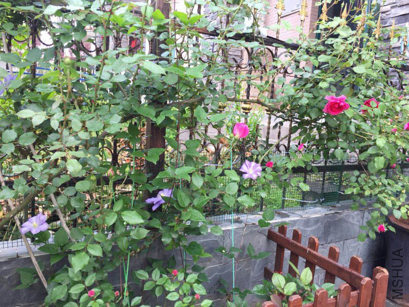 ΢��ͼƬ_20180423085502.jpg