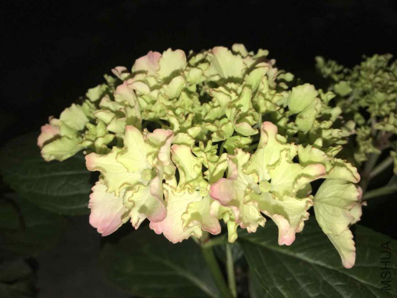 ΢��ͼƬ_20180423093026.jpg