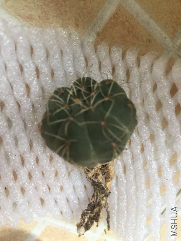 ΢��ͼƬ_20180423105556.jpg