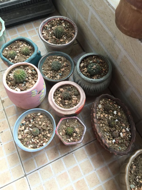 ΢��ͼƬ_20180423105607.jpg