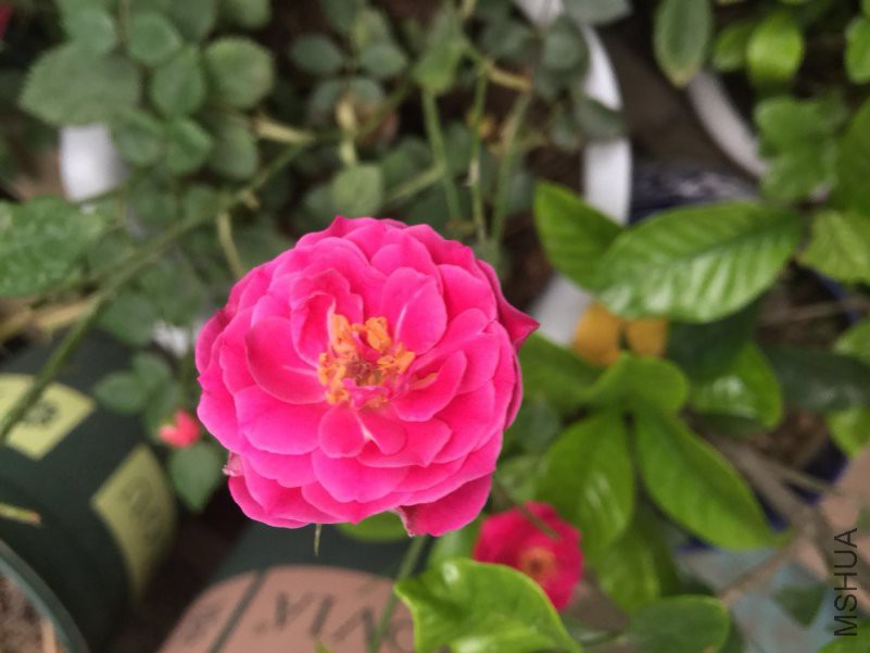΢��ͼƬ_20180423115401.jpg