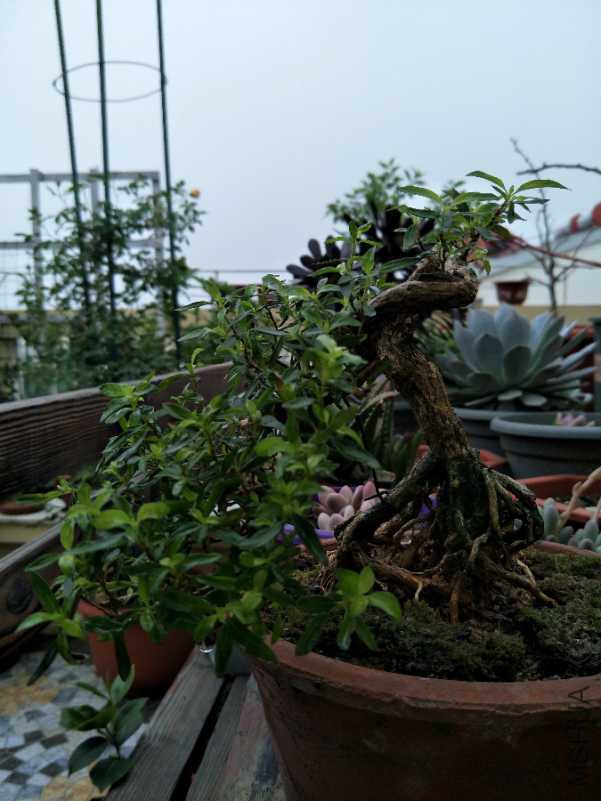 IMG20180423103216.jpg