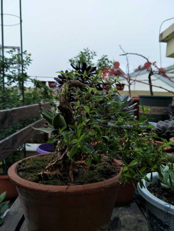 IMG20180423103205.jpg