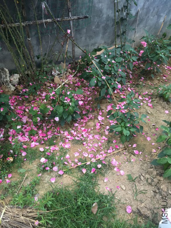 ΢��ͼƬ_20180423150240.jpg