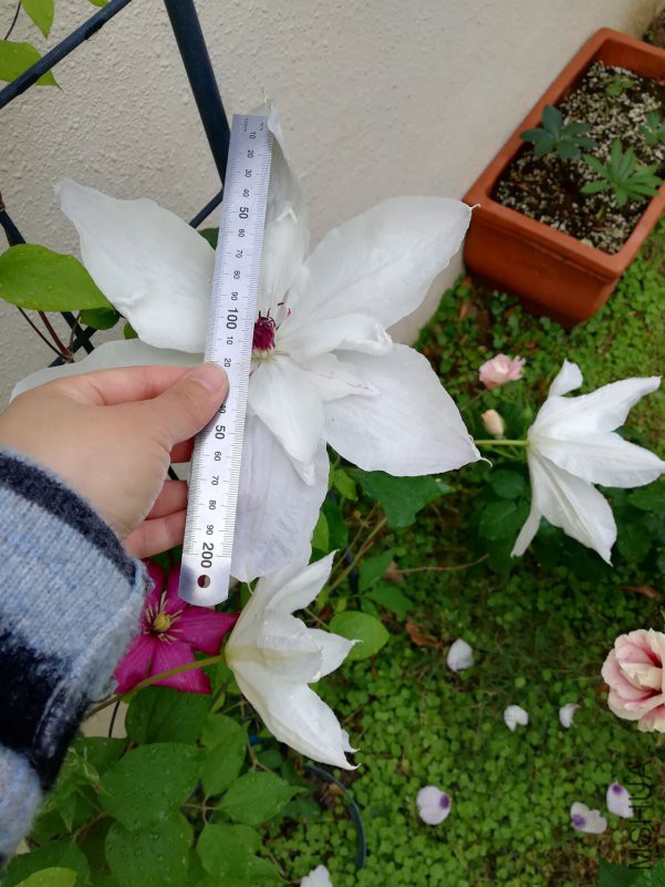QQͼƬ20180423154449.jpg