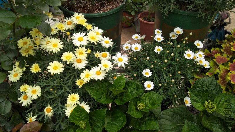 �������56 .jpg