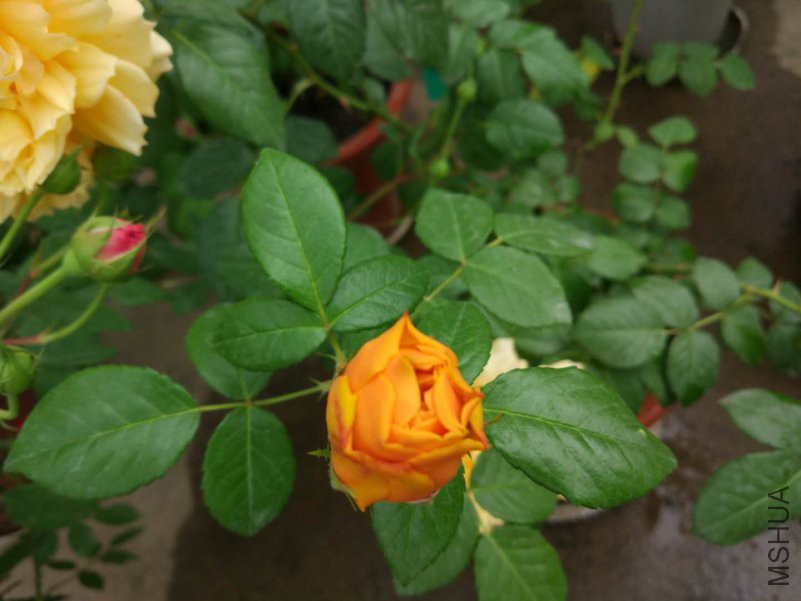 ΢��ͼƬ_20180423172311.jpg