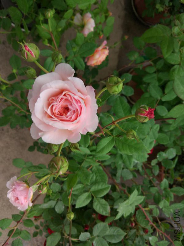 ΢��ͼƬ_20180423172332.jpg