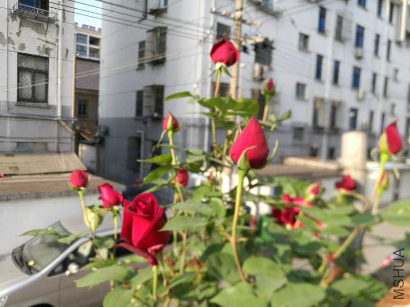 IMG_20180419_070912.jpg