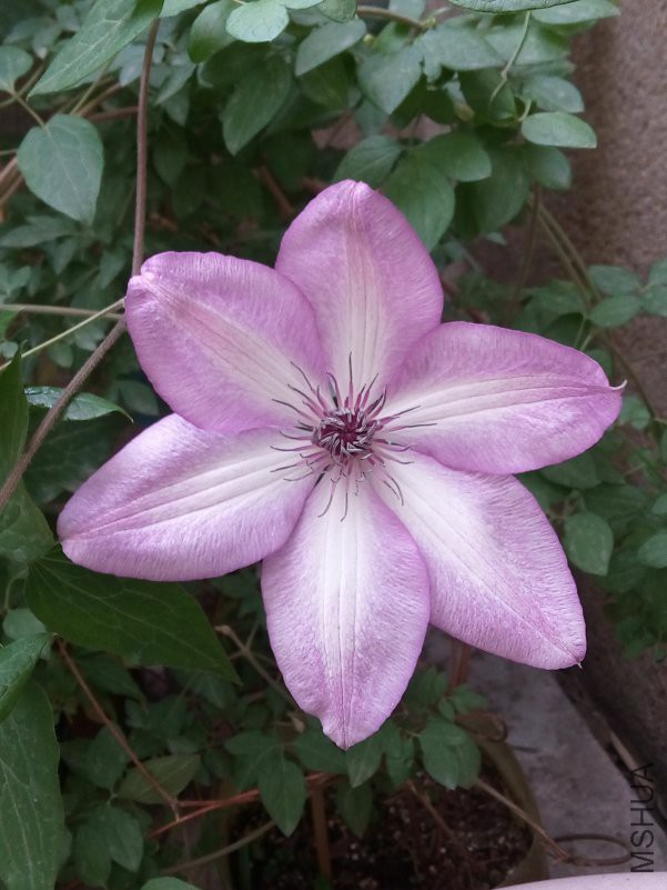 TIMͼƬ20180423214508.jpg