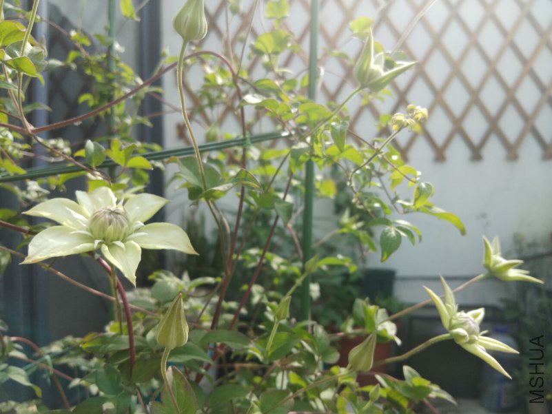 QQͼƬ20180424091558.jpg