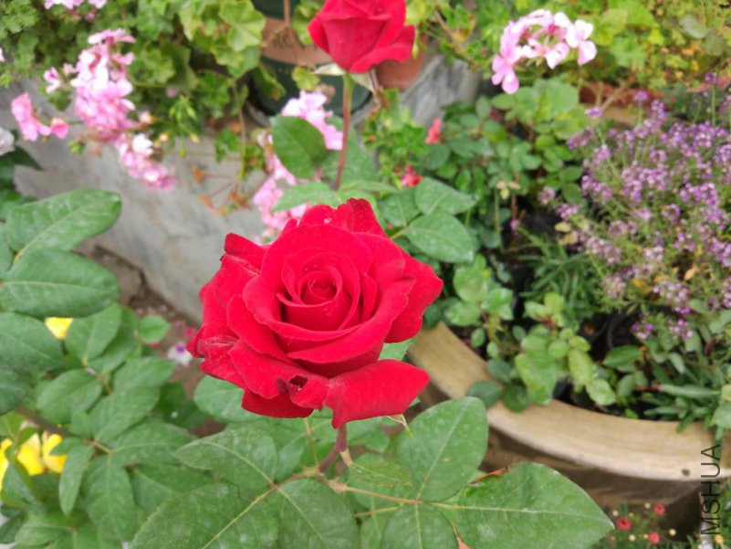 ΢��ͼƬ_20180423172349.jpg