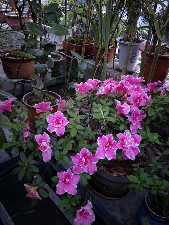 IMG20180329181114.jpg