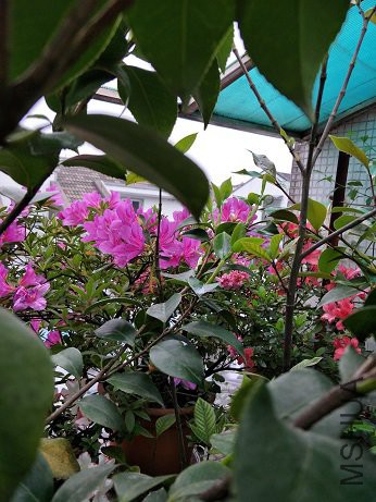 IMG20180412171748.jpg