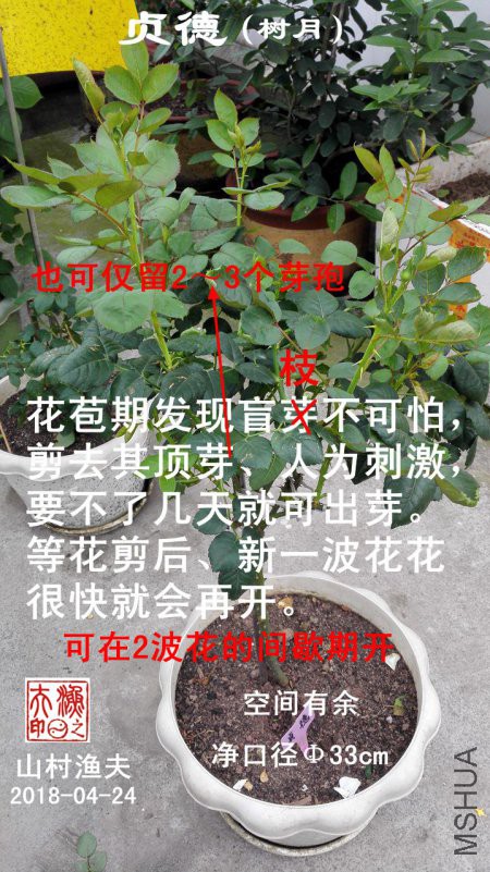 A01.jpg