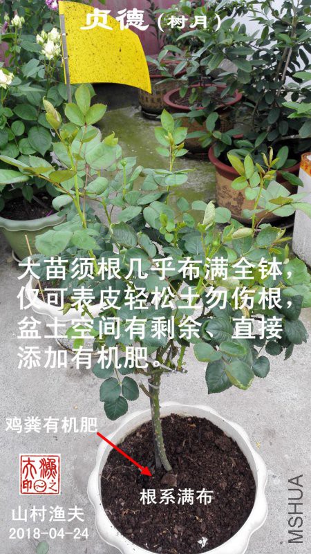 A02.jpg