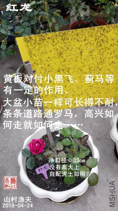 F01.jpg