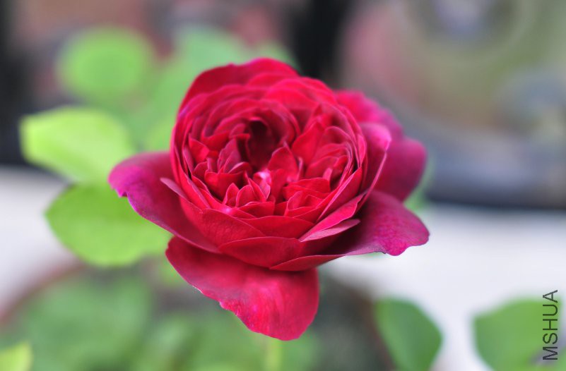 ��Ƭ 2368_conew1.jpg