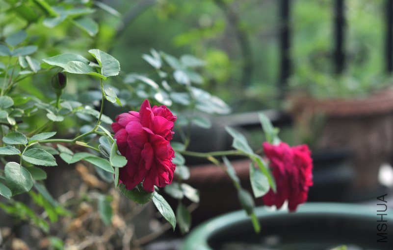 ��Ƭ 2807_conew1.jpg