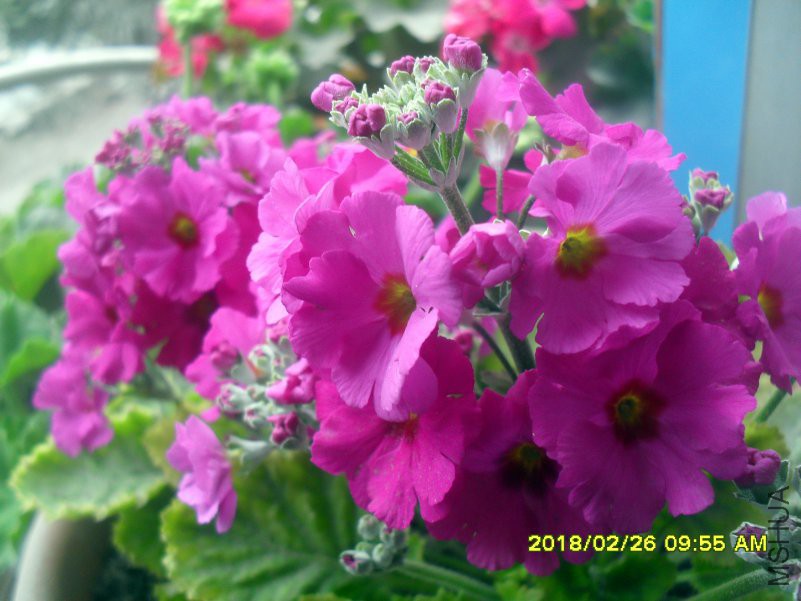 SDC15344.jpg