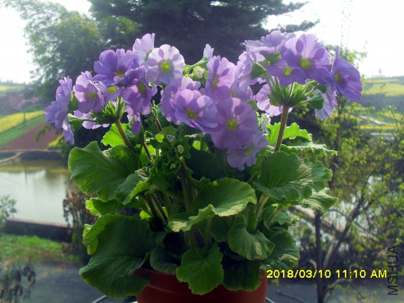 SDC15438.jpg