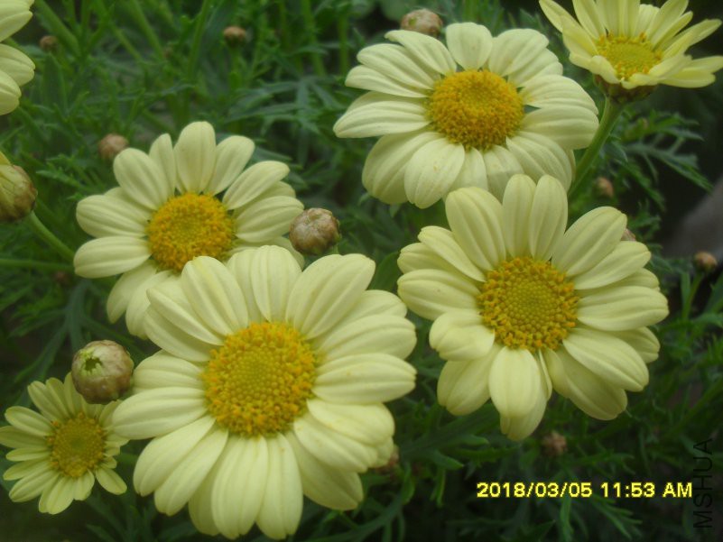SDC15411.JPG