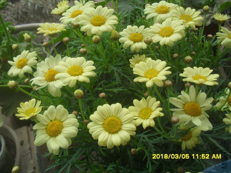 SDC15410.jpg