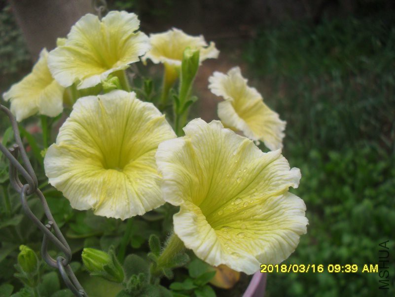 SDC15479.jpg