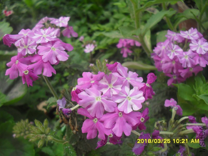 SDC15636.JPG