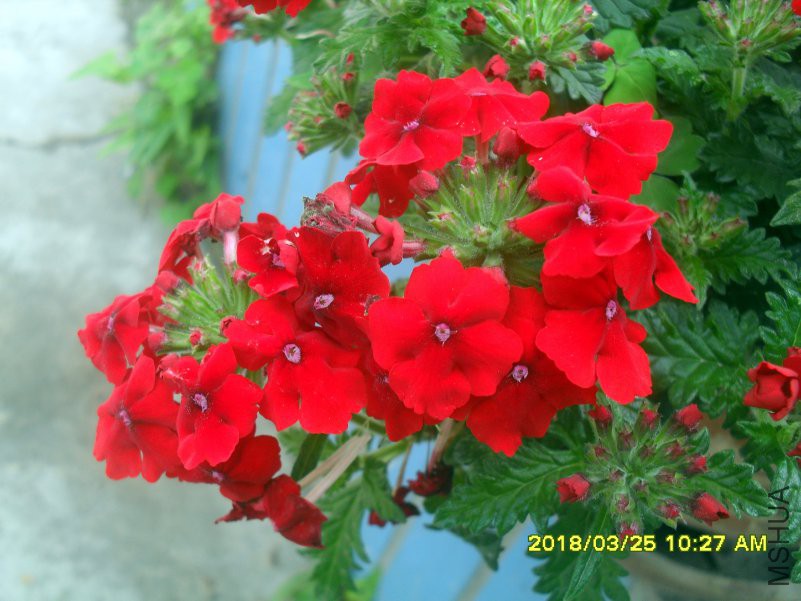 SDC15646.jpg