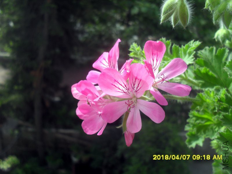 SDC15839.jpg