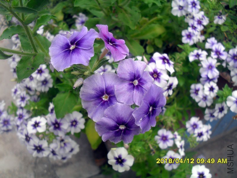 SDC15997.jpg