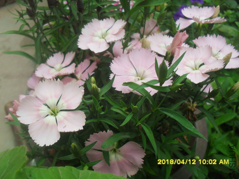SDC16012.jpg