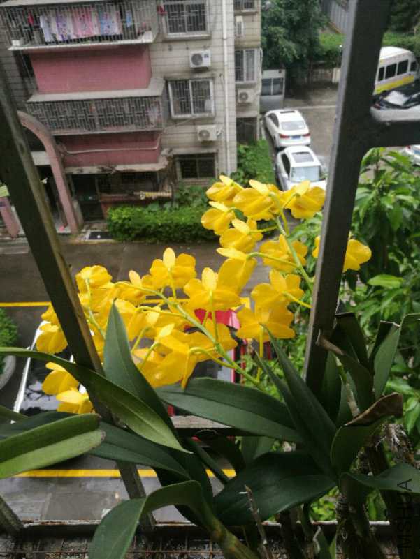 IMG_20180424_133645.jpg