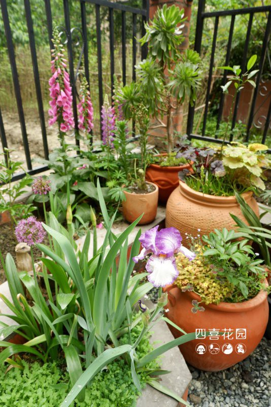 DSCF2443.jpg