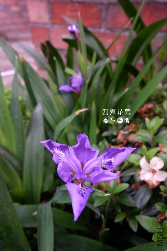 DSCF2430.jpg