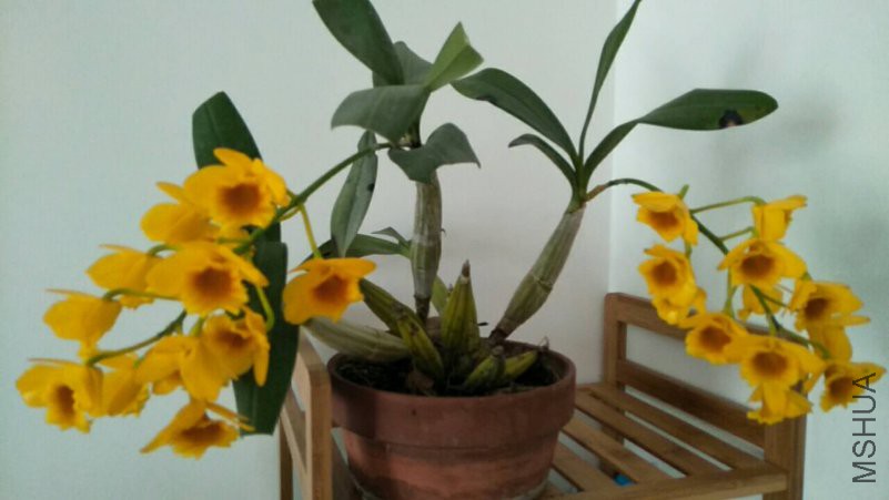 ΢��ͼƬ_20180425090927.jpg